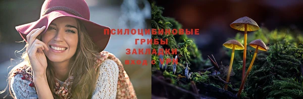 mdpv Нязепетровск