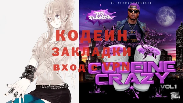 амф Няндома