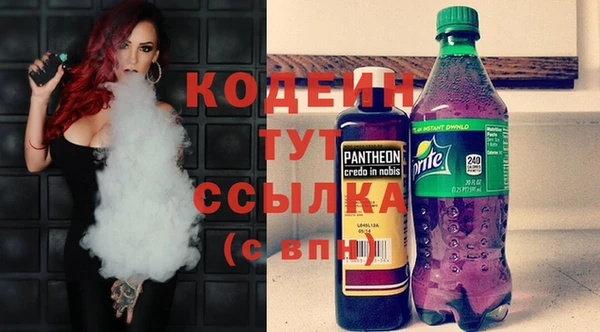 амф Няндома
