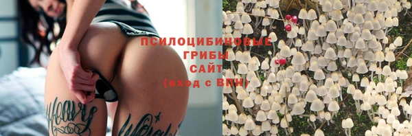 амф Няндома